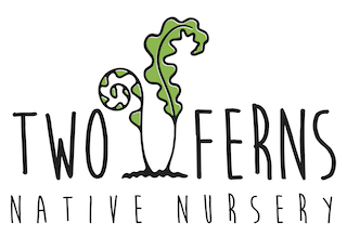 Two Ferns Native Nursery